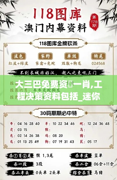 大三巴免费资枓一肖,工程决策资料包括_迷你版SGE2.77