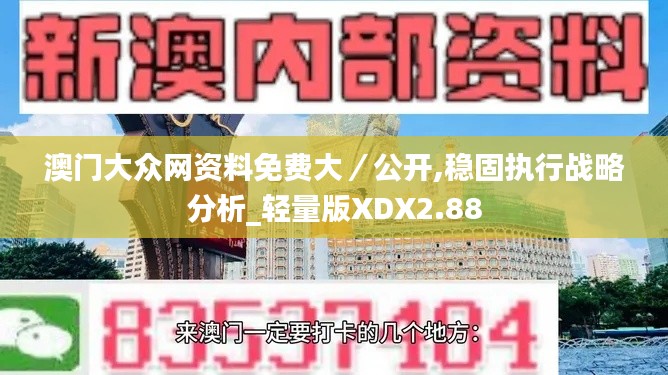 澳门大众网资料免费大／公开,稳固执行战略分析_轻量版XDX2.88