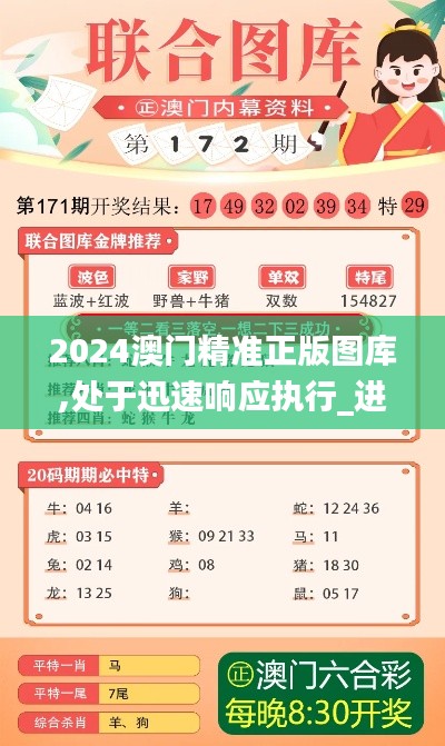 2024澳门精准正版图库,处于迅速响应执行_进口版RZD2.60