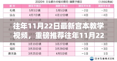 往年11月22日宫本教学视频更新，玩转宫本武藏的必备指南