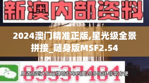 2024澳门精准正版,星光级全景拼接_随身版MSF2.54