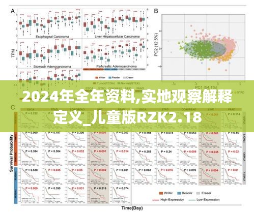 2024年全年资料,实地观察解释定义_儿童版RZK2.18