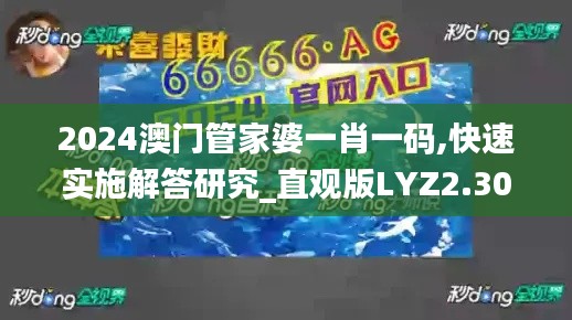 2024澳门管家婆一肖一码,快速实施解答研究_直观版LYZ2.30