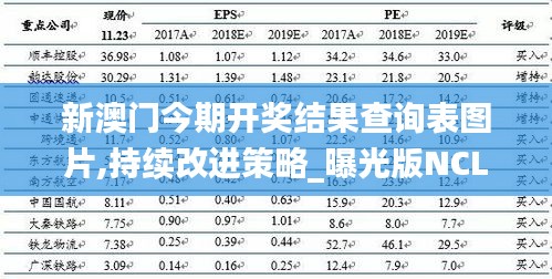 新澳门今期开奖结果查询表图片,持续改进策略_曝光版NCL2.63