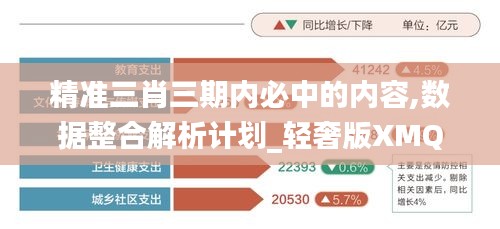 精准三肖三期内必中的内容,数据整合解析计划_轻奢版XMQ2.68