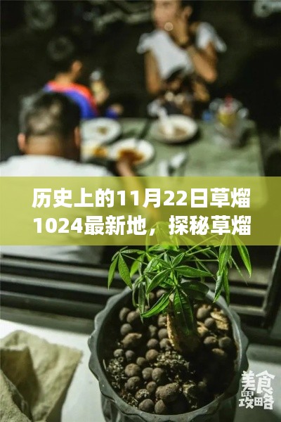 探秘草熘1024，历史上的美食秘境之隐藏小巷探秘之旅