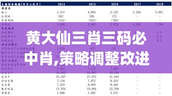 黄大仙三肖三码必中肖,策略调整改进_目击版VPK2.70