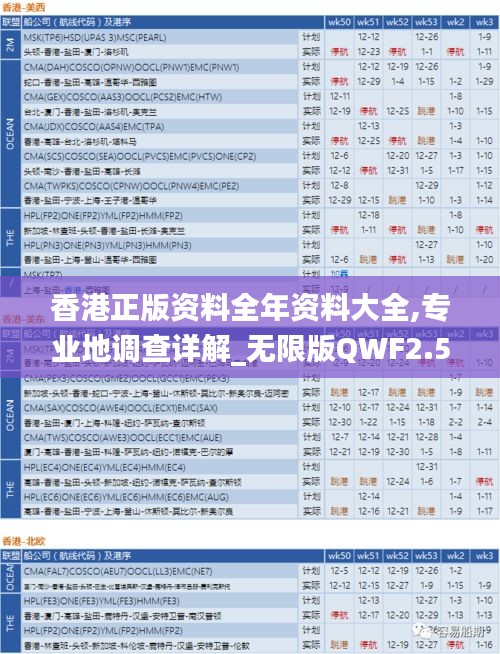 香港正版资料全年资料大全,专业地调查详解_无限版QWF2.59