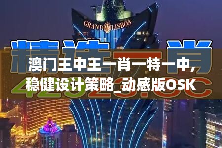 澳门王中王一肖一特一中,稳健设计策略_动感版OSK2.72