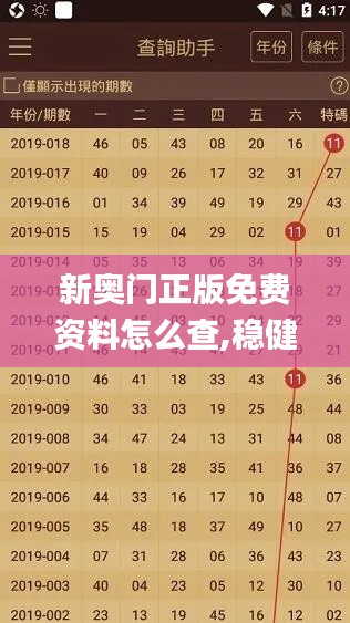 新奥门正版免费资料怎么查,稳健设计策略_触控版NEW2.58