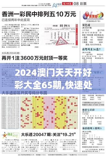 2024澳门天天开好彩大全65期,快速处理计划_升级版DAY2.45