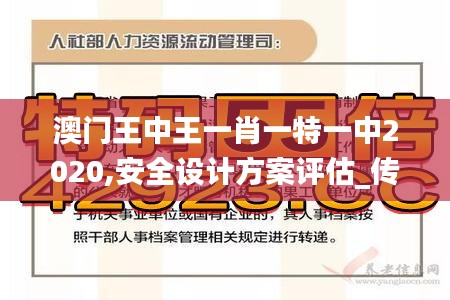 澳门王中王一肖一特一中2020,安全设计方案评估_传达版BLV2.31