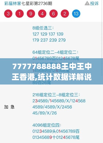 7777788888王中王中王香港,统计数据详解说明_计算机版HEB2.23