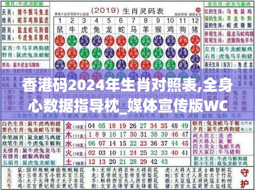 香港码2024年生肖对照表,全身心数据指导枕_媒体宣传版WCE2.35