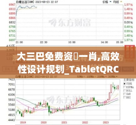 大三巴免费资枓一肖,高效性设计规划_TabletQRC2.65