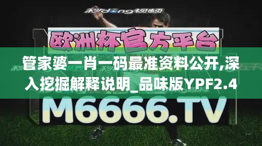 管家婆一肖一码最准资料公开,深入挖掘解释说明_品味版YPF2.46