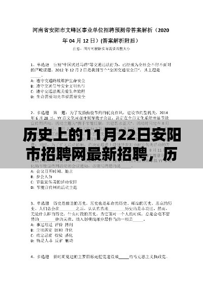 历史上的11月22日安阳市招聘网最新招聘动态概览，深度探析最新招聘信息与观点阐述