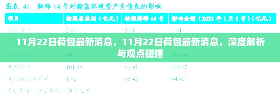 深度解析与观点碰撞，最新荷包消息速递