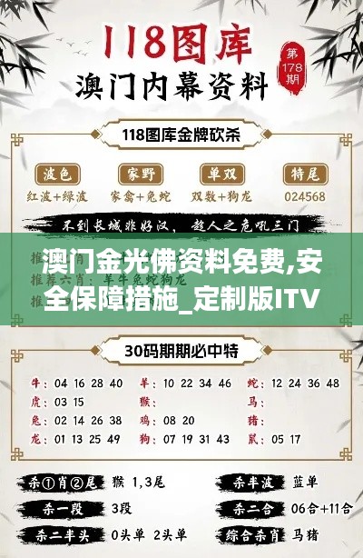 澳门金光佛资料免费,安全保障措施_定制版ITV2.81