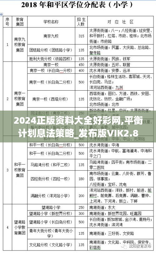 2024正版资料大全好彩网,平衡计划息法策略_发布版VIK2.88