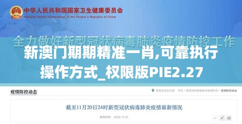 新澳门期期精准一肖,可靠执行操作方式_权限版PIE2.27