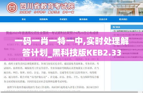 一码一肖一特一中,实时处理解答计划_黑科技版KEB2.33