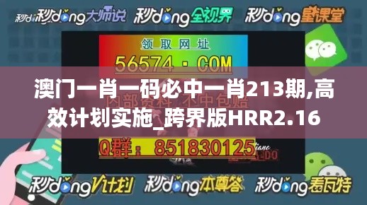 澳门一肖一码必中一肖213期,高效计划实施_跨界版HRR2.16