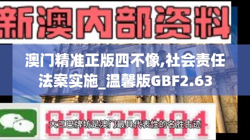 澳门精准正版四不像,社会责任法案实施_温馨版GBF2.63