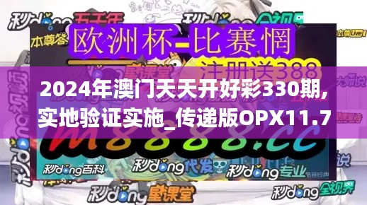 2024年澳门天天开好彩330期,实地验证实施_传递版OPX11.72