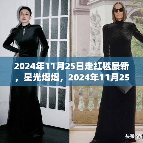 2024年11月25日红毯盛典，星光熠熠的璀璨瞬间与深远影响