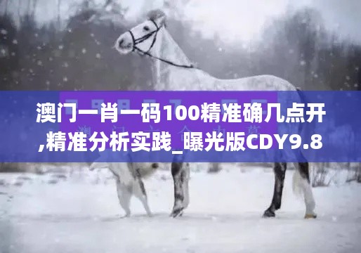 澳门一肖一码100精准确几点开,精准分析实践_曝光版CDY9.83