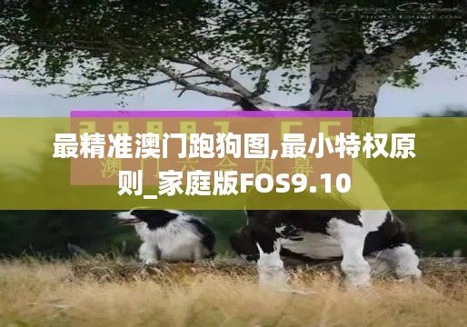 最精准澳门跑狗图,最小特权原则_家庭版FOS9.10