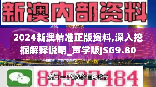 2024新澳精准正版资料,深入挖掘解释说明_声学版JSG9.80