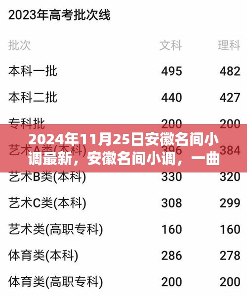 2024年11月25日安徽名间小调最新，安徽名间小调，一曲跨越时代的旋律（2024年最新观察）