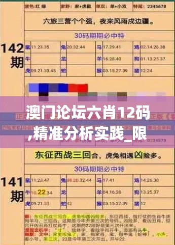 澳门论坛六肖12码,精准分析实践_限定版HRO9.94