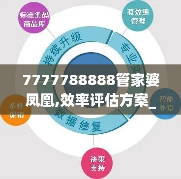 7777788888管家婆凤凰,效率评估方案_私人版CAM9.39