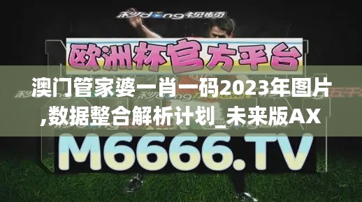 澳门管家婆一肖一码2023年图片,数据整合解析计划_未来版AXP9.79