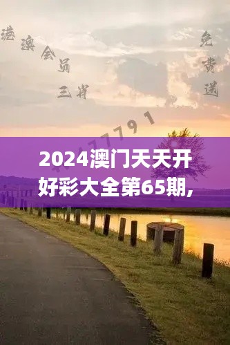 2024澳门天天开好彩大全第65期,专家权威解答_云端版GUT9.95