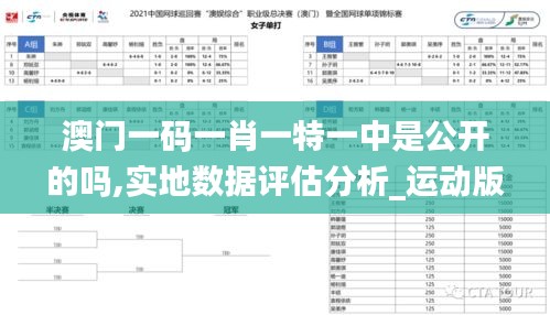 澳门一码一肖一特一中是公开的吗,实地数据评估分析_运动版BUN9.47