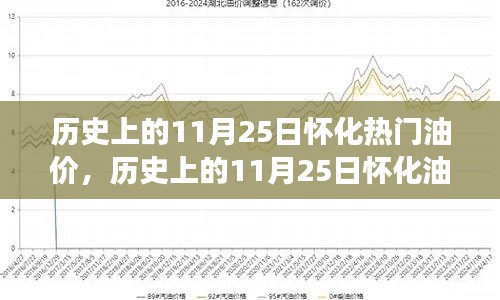 11月25日怀化油价历史解析与个人立场探讨，热门油价波动回顾与探讨