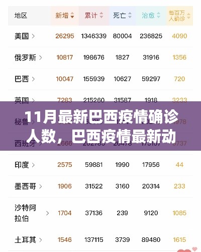 巴西疫情最新动态，十一月确诊人数报告及疫情发展分析