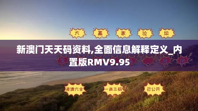 新澳门天天码资料,全面信息解释定义_内置版RMV9.95