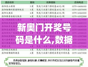 新奥门开奖号码是什么,数据解释说明规划_参与版QLD9.64