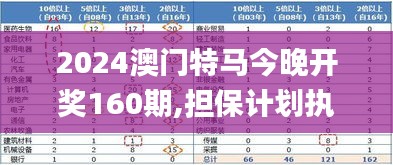 2024澳门特马今晚开奖160期,担保计划执行法策略_效率版LMD9.8