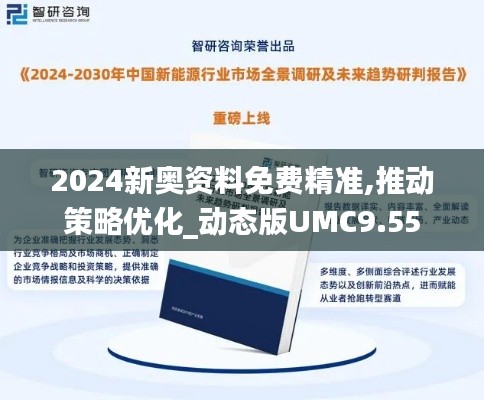 2024新奥资料免费精准,推动策略优化_动态版UMC9.55