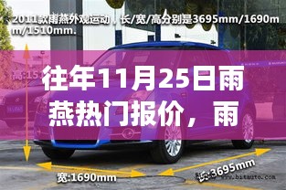 往年11月25日雨燕热门报价，展翅成长，力量与自信的旋律