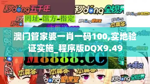 澳门管家婆一肖一码100,实地验证实施_程序版DQX9.49