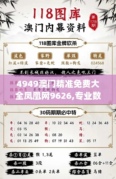 4949澳门精准免费大全凤凰网9626,专业数据点明方法_DIY版YQI9.66