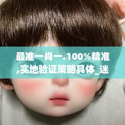 最准一肖一.100%精准,实地验证策略具体_迷你版BJD9.58