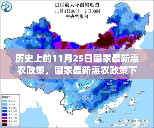 国家最新惠农政策下的暖心时光，11月25日的历史性政策与温馨故事回顾